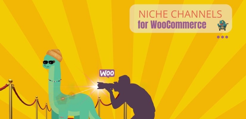 Niche Channels for WooCommerce