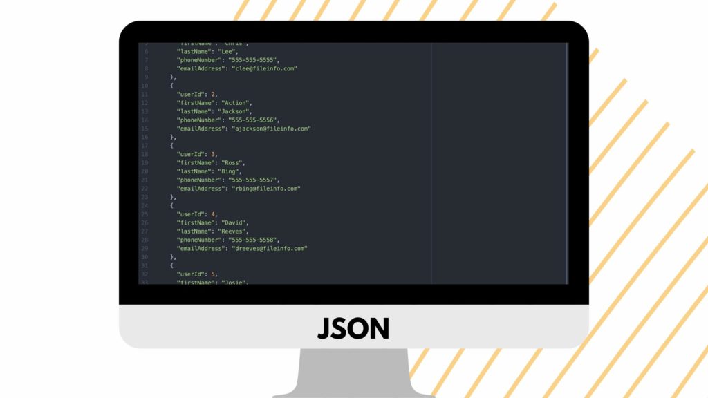 JSON file format