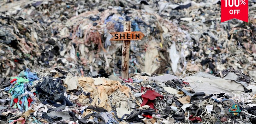 Shein's Environmental Impact